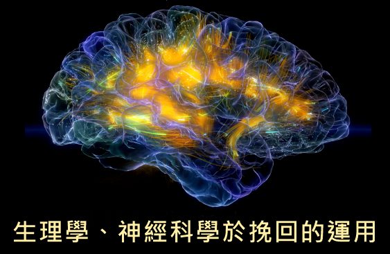 感情挽回課程發展沿革